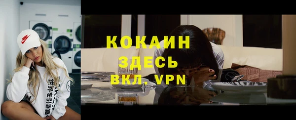 PSILOCYBIN Армянск