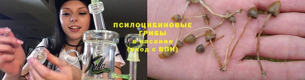 спиды Арсеньев