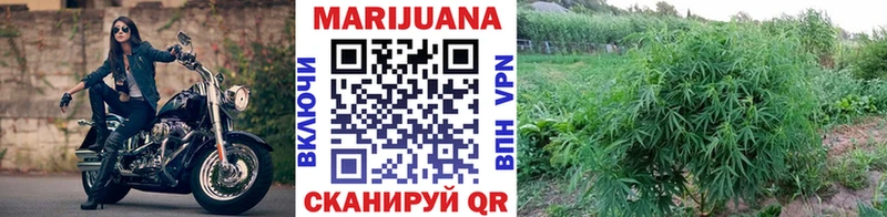 Бошки Шишки гибрид Кулебаки